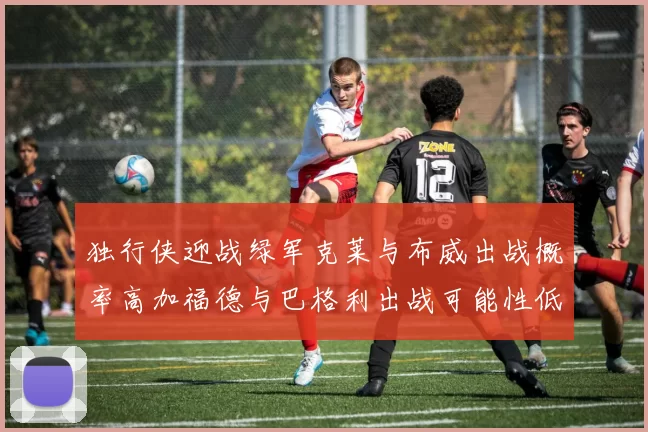 独行侠迎战绿军克莱与布威出战概率高加福德与巴格利出战可能性低